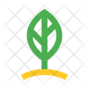 پیش‌نمایش فایل leaf-2442966 از پک طبیعت
