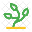 پیش‌نمایش فایل plant-2442960 از پک طبیعت