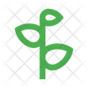 پیش‌نمایش فایل sprout-2442958 از پک طبیعت