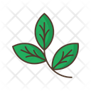 پیش‌نمایش فایل branch-2488928 از پک طبیعت