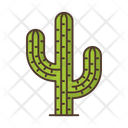 پیش‌نمایش فایل cactus-2488927 از پک طبیعت