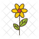 پیش‌نمایش فایل flower-2488925 از پک طبیعت