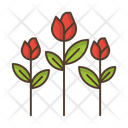 پیش‌نمایش فایل flowers-2488953 از پک طبیعت