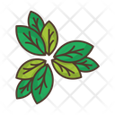 پیش‌نمایش فایل leaves-2488948 از پک طبیعت