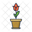 پیش‌نمایش فایل flower-plant-2488978 از پک لوازم خانگی