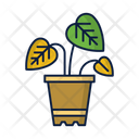 پیش‌نمایش فایل plant-2489000 از پک لوازم خانگی