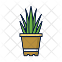 پیش‌نمایش فایل plant-2489005 از پک لوازم خانگی