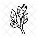 پیش‌نمایش فایل laurel از پک غذا ۲