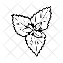 پیش‌نمایش فایل mint از پک غذا