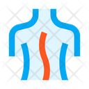 پیش‌نمایش فایل spine-2512782 از پک پزشکی - جلد 2