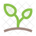 پیش‌نمایش فایل sprout-2512823 از پک فضای باز