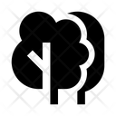 پیش‌نمایش فایل forest-2767931 از پک طبیعت