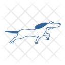 پیش‌نمایش فایل dog-run-3014641 از پک سگ