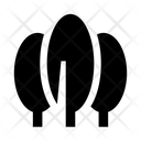 پیش‌نمایش فایل forest-3354653 از پک جنگل