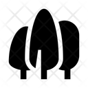 پیش‌نمایش فایل forest-3354655 از پک جنگل