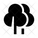 پیش‌نمایش فایل forest-3354656 از پک جنگل
