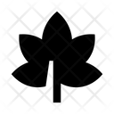 پیش‌نمایش فایل leaves-3420389 از پک برگ‌ها