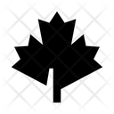 پیش‌نمایش فایل leaves-3420394 از پک برگ‌ها