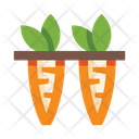 پیش‌نمایش فایل carrot-3787185 از پک سبزیجات
