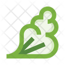 پیش‌نمایش فایل lettuce-leaf-3787195 از پک سبزیجات