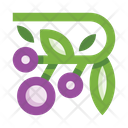 پیش‌نمایش فایل berries-3787084 از پک میوه‌ها