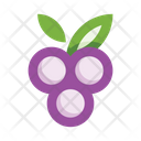 پیش‌نمایش فایل berries-3787147 از پک لوازم