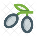 پیش‌نمایش فایل olive-3787142 از پک لوازم