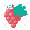 پیش‌نمایش فایل grapes-4923247 از پک غذا