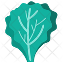 پیش‌نمایش فایل lettuce-4923254 از پک غذا