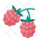 پیش‌نمایش فایل raspberries-4923277 از پک غذا