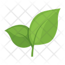 پیش‌نمایش فایل tea-leaves-4923415 از پک غذا