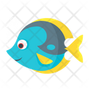 پیش‌نمایش فایل fish-4923008 از پک سفر