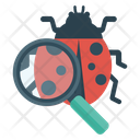 پیش‌نمایش فایل beetle-in-magnifying-4924430 از پک علم