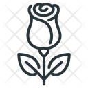 پیش‌نمایش فایل flower-7595341 از پک عشق