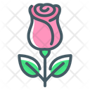 پیش‌نمایش فایل flower-7595252 از پک عشق
