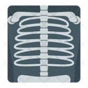 پیش‌نمایش فایل x-ray-9030453 از پک پزشکی