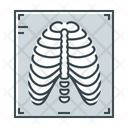 پیش‌نمایش فایل x-ray-2344590 از پک پزشکی و دارو