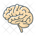 پیش‌نمایش فایل brain-2345034 از پک پزشکی