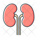 پیش‌نمایش فایل kidney-2345006 از پک پزشکی