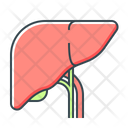 پیش‌نمایش فایل liver-2345020 از پک پزشکی