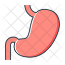 پیش‌نمایش فایل organ-2344999 از پک پزشکی