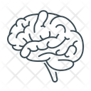 پیش‌نمایش فایل brain-2390508 از پک پزشکی