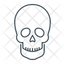 پیش‌نمایش فایل skull-2390470 از پک پزشکی