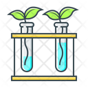 پیش‌نمایش فایل botany-test-3482758 از پک آموزش و پرورش
