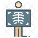 پیش‌نمایش فایل body-xray-3744339 از پک تشخیص‌های پزشکی