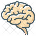 پیش‌نمایش فایل brain-3807778 از پک بدن انسان