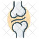 پیش‌نمایش فایل cartilage-3807772 از پک بدن انسان