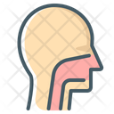 پیش‌نمایش فایل face-3807785 از پک بدن انسان