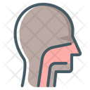 پیش‌نمایش فایل face-3807786 از پک بدن انسان