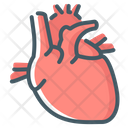 پیش‌نمایش فایل heart-3807767 از پک بدن انسان